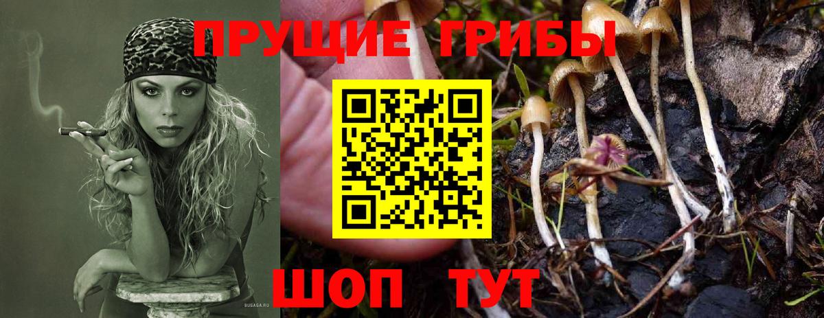 Псилоцибиновые грибы Psilocybe  Вход с VPN  Псилоцибиновые грибы GOLDEN TEACHER  Джанкой 